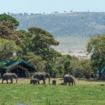 Best places to visit for an african safari_FeaturedImage