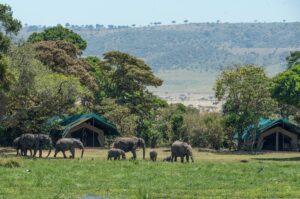 Best places to visit for an african safari_FeaturedImage