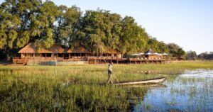 luxury lodge moremi sanctuary chiefs camp