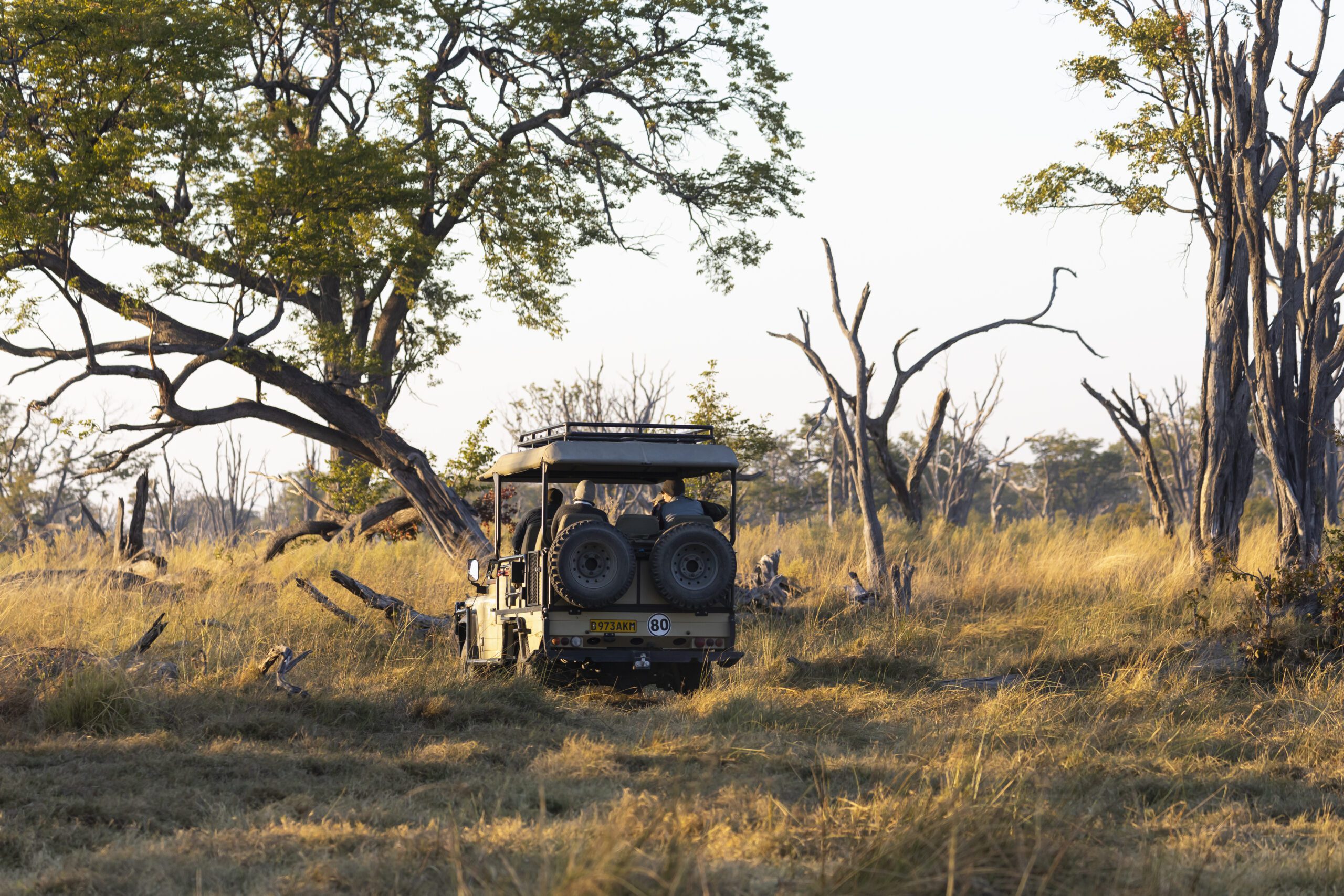 Okavango Delta Botswana safari vehicle on a sunrise game drive