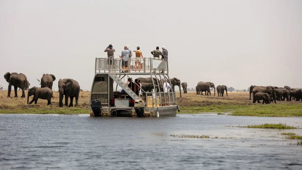 Tourists on a two-story river safari boat watching elephants grazing on the grassy shore.