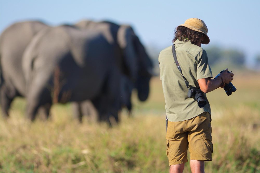 African Safaris photography African Safaris photography